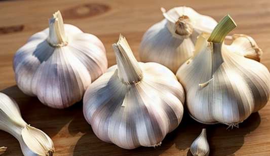 Garlic: The Tiny Bulb with Mighty Powers!